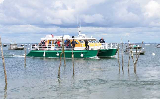 Balade en catamaran                          