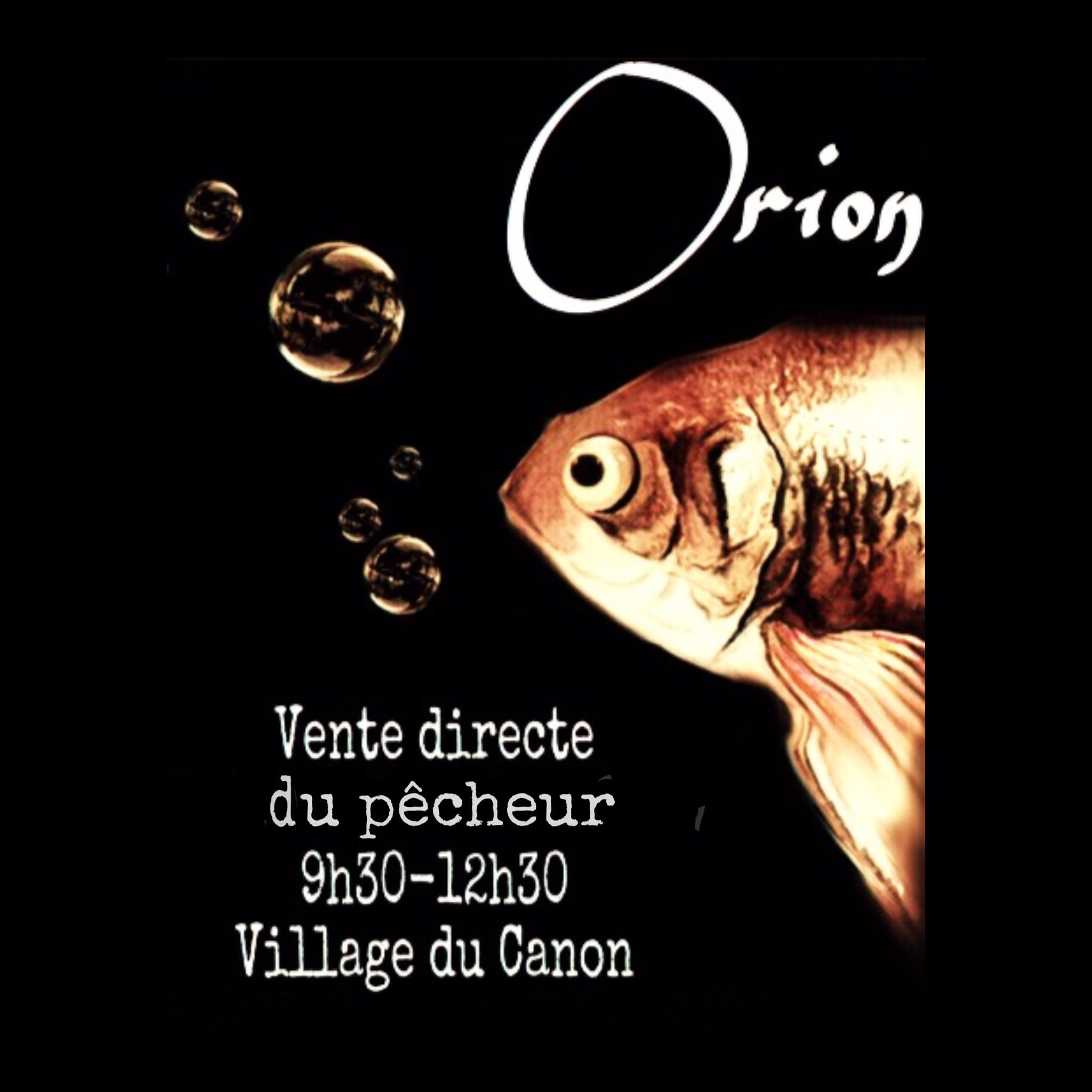 Vente-directe de poissons par Orion
