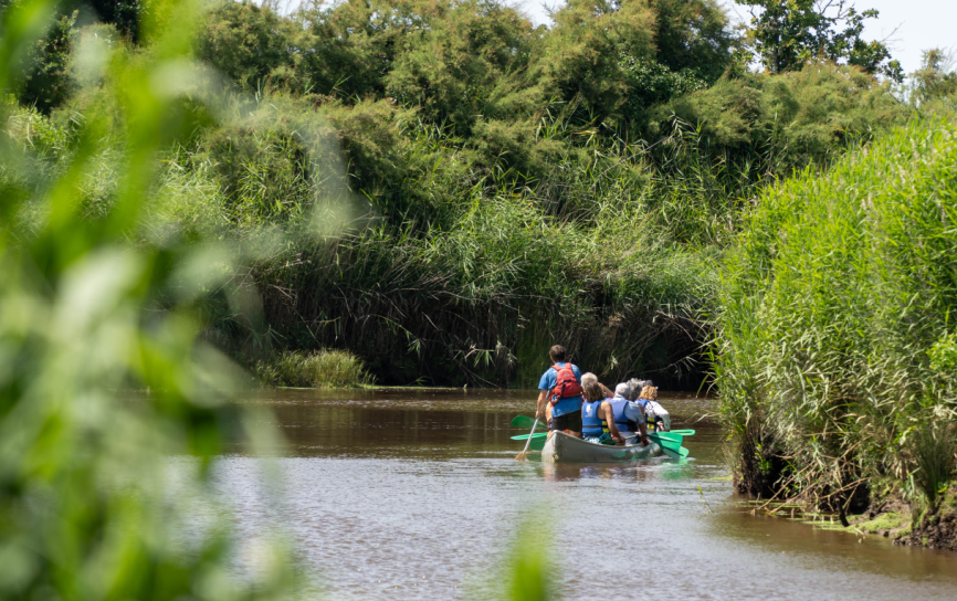 Visite de la Réserve ornithologique + Canoë !