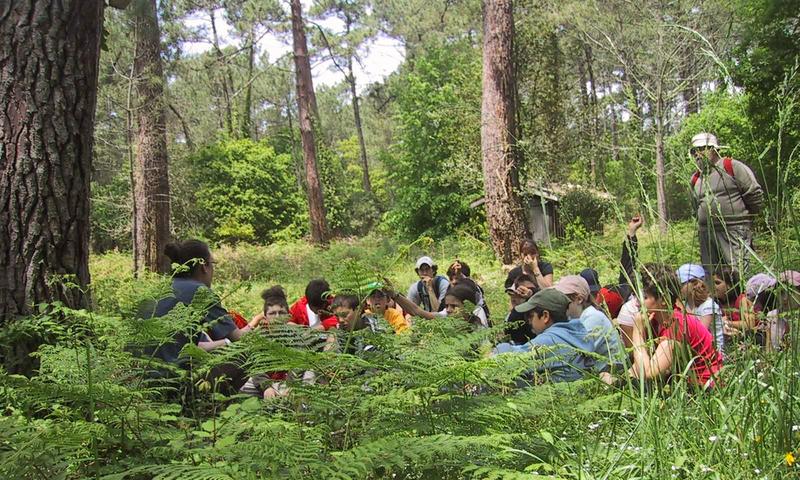 Atelier du petit naturaliste