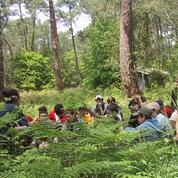 Atelier du petit naturaliste