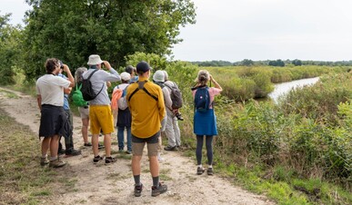 Balade au cœur du Delta de la Leyre
