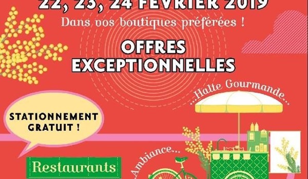 BRADERIE DES COMMERCANTS