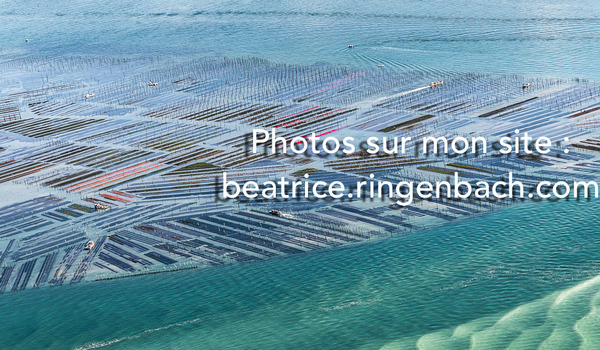 Variations aériennes au Bassin d'Arcachon : Expo Photos