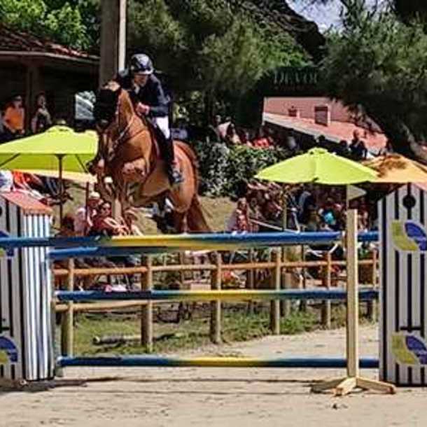 ÉQUITATION CONCOURS DE SAUTS D’OBSTACLES 