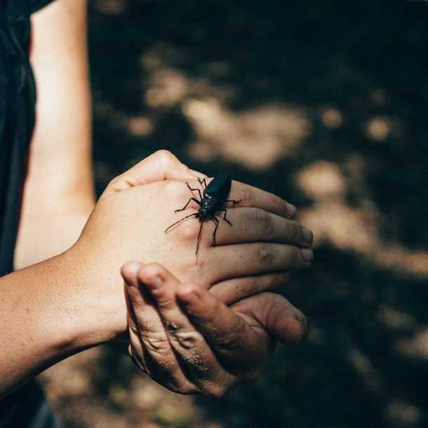 Chasse aux trésors naturels