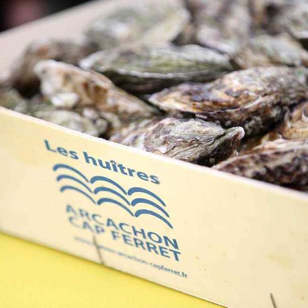 Les huîtres du Bassin, stars de Bordeaux So Good