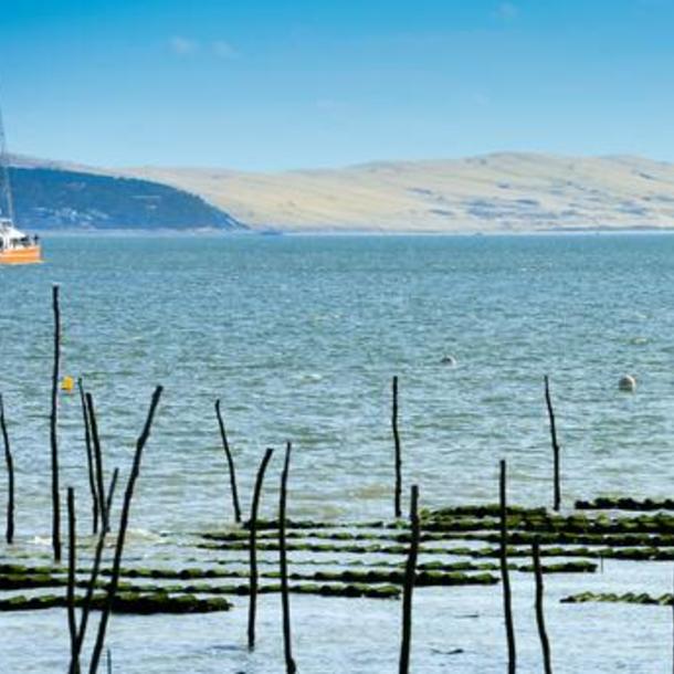 MARCHE AUTOUR DU BASSIN