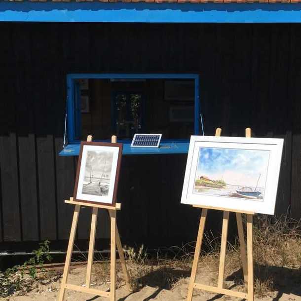 Exposition - Pierre Millon