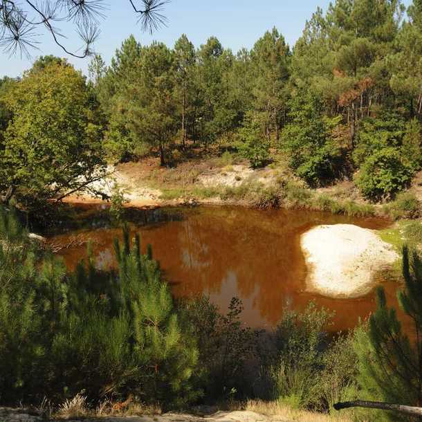 Exposition - Le Canal des Etangs