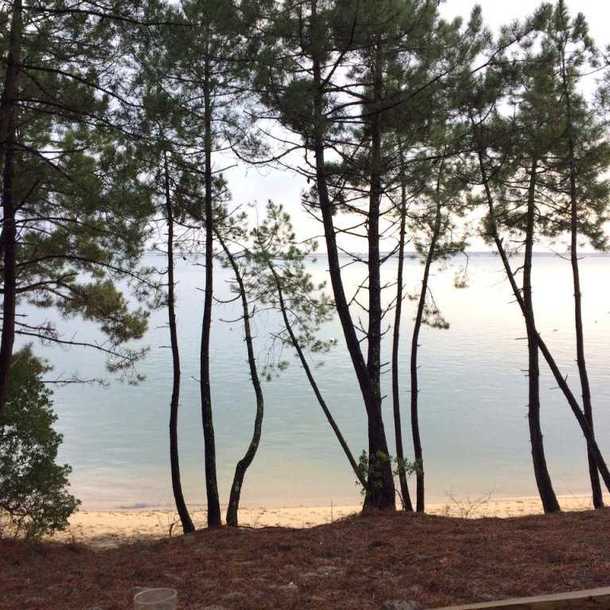 LES JARDINS DE LA PRESQU'ÎLE : LA JOURNÉE DE L'ARBRE 