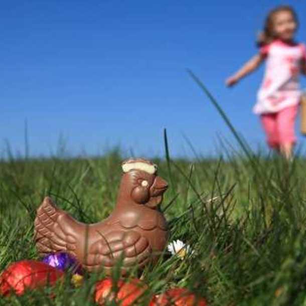 Chasse aux oeufs et animations