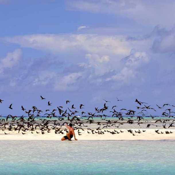 Fête de la Nature - Comptage d'oiseaux