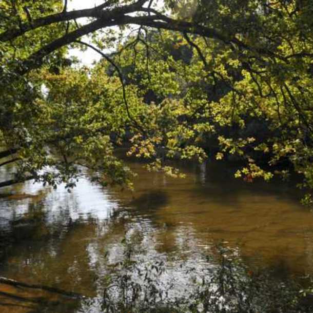 Balade - Découverte du Delta de la Leyre