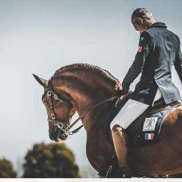 Stage Dressage / Équitation de Travail avec Pierre Jouneau