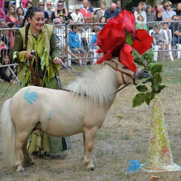Spectacle équestre et apéritif vigneron