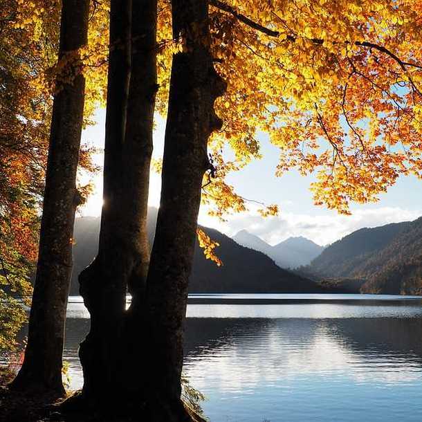 BALADE NATURE