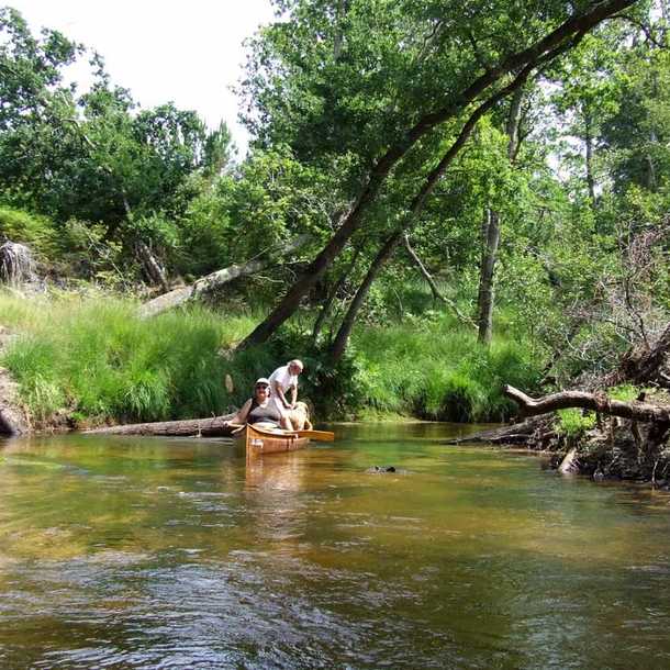 Découverte du Delta de la Leyre