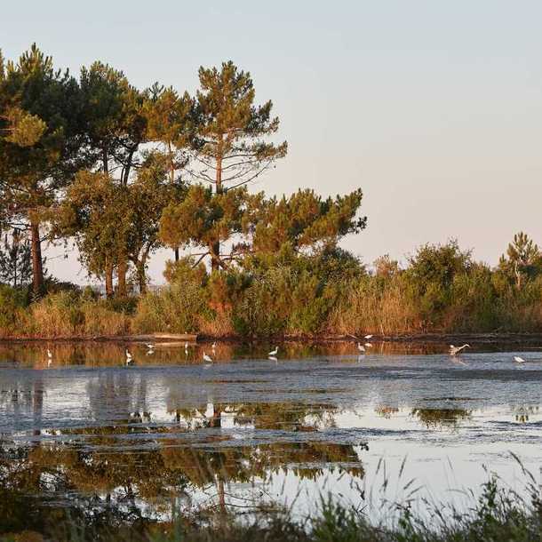 Fête de la Nature - C'est quoi être naturaliste ?