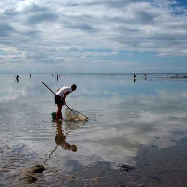 Balade et pêche à pieds à marée basse
