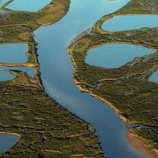 Découverte des secrets des Prés Salés
