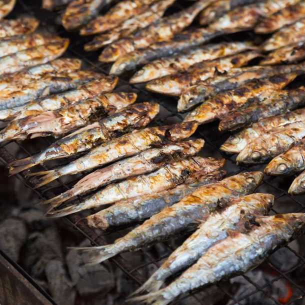 Fête de la Sardinade