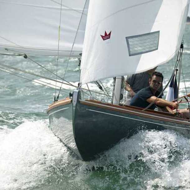Voile - Toffee Cup