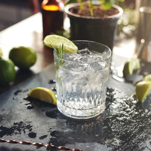Atelier Cocktail - Soirée Tonic