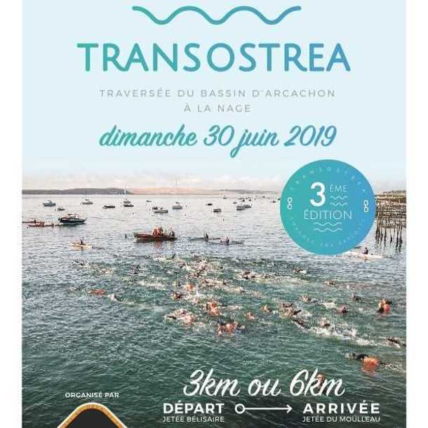 Transostrea