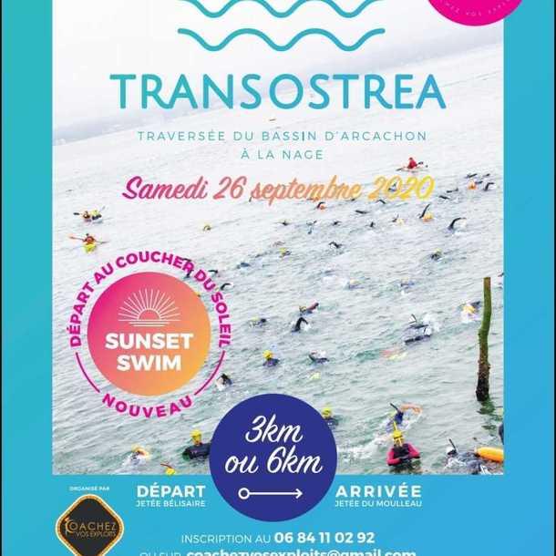 Transostrea 2020