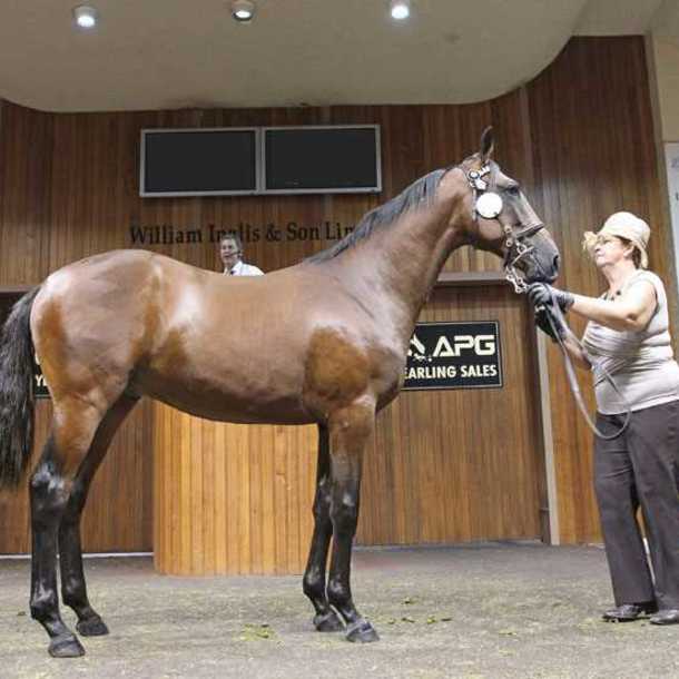 Ventes de Yearling