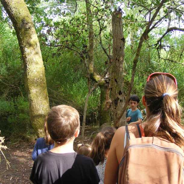 Chasse aux trésors naturels