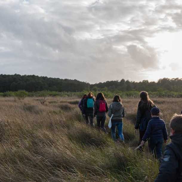 Visite guidée crépusculaire 