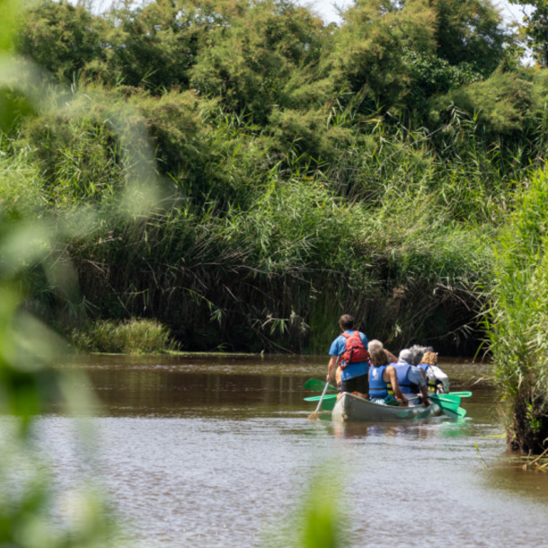 Visite de la Réserve ornithologique + Canoë !
