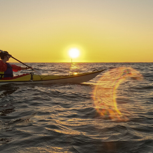 L'Île aux oiseaux en kayak de mer