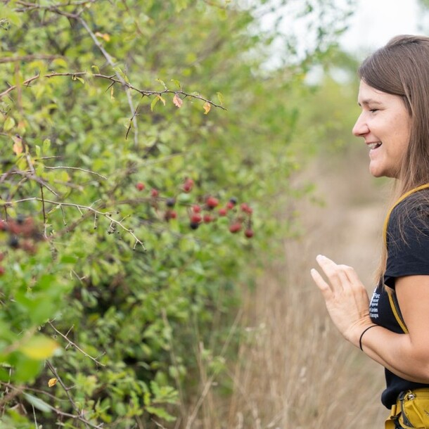 Exploration botanique : alliances cachées des plantes et des animaux