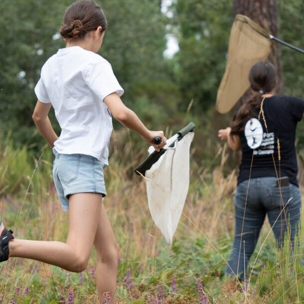 Atelier insectes et petites bêtes