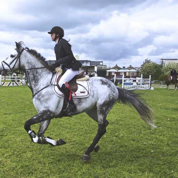 Concours LEGE-CAP FERRET JUMPING